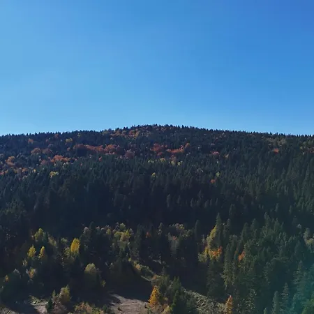 Gasthuis Elata Aparts